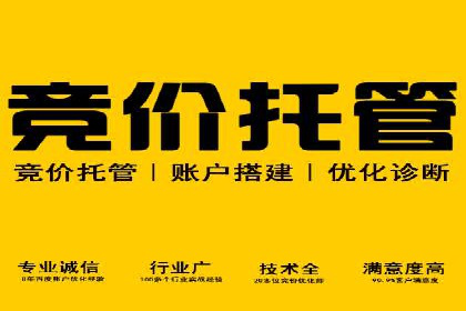 某品牌SEM广告投放的A/B测试与优化